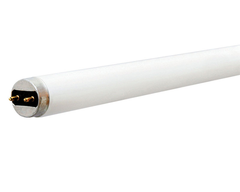 GE Fluorescent Bulb 15 watts 615 lumens Linear T8 18 in. L White 1 pk 